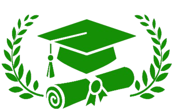 Diploma in Computer Application